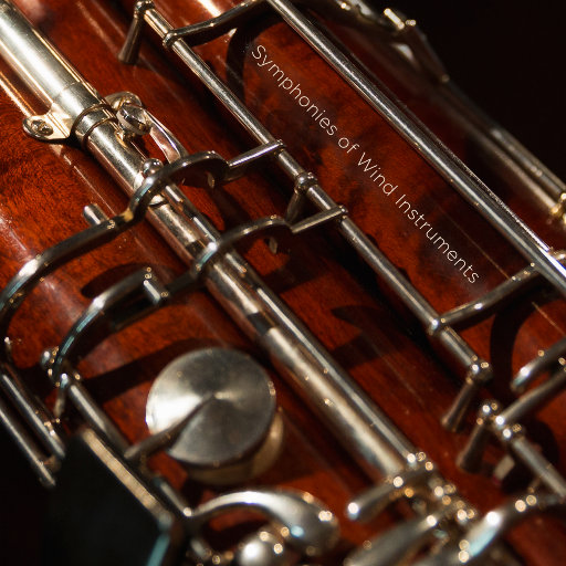 我和小妺在卫生间做爰
